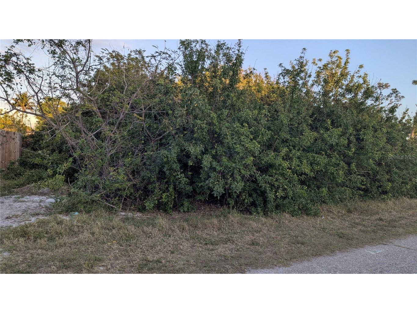 4026 Mcintire Street Port Charlotte FL 33948 D6141574 image2