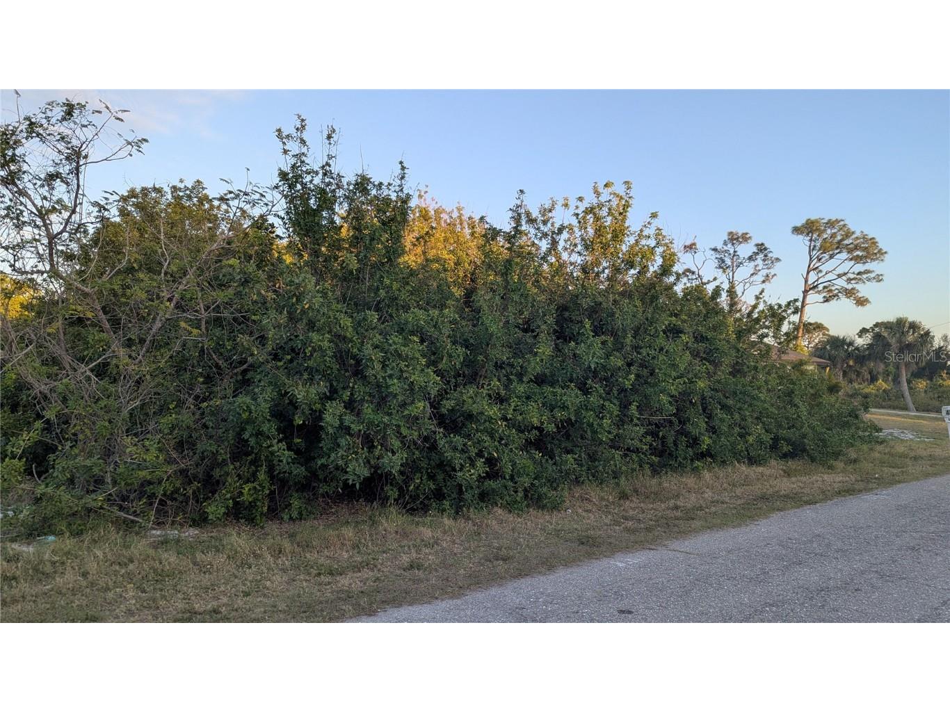 4026 Mcintire Street Port Charlotte FL 33948 D6141574 image4