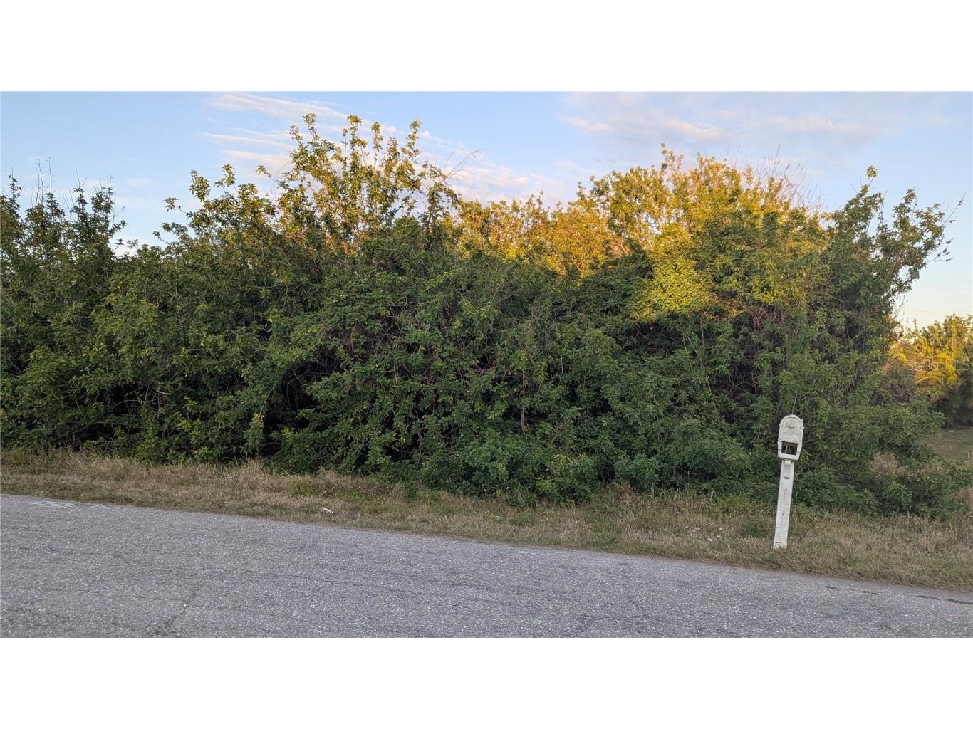 4026 Mcintire Street Port Charlotte FL 33948 D6141574 image5