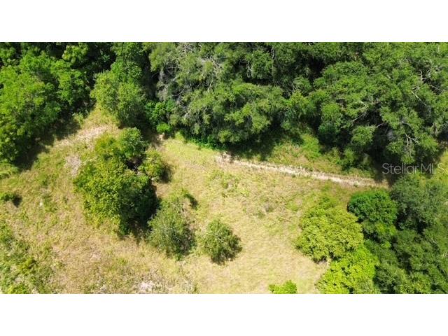 4026 N Orange Blossom Trail Mount Dora FL 32757 O6393994 image1