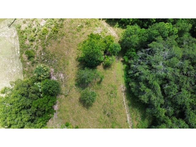 4026 N Orange Blossom Trail Mount Dora FL 32757 O6393994 image11