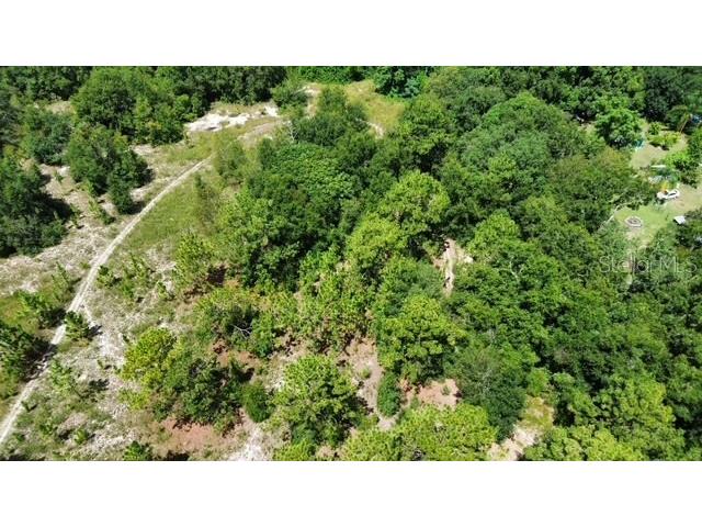4026 N Orange Blossom Trail Mount Dora FL 32757 O6393994 image3