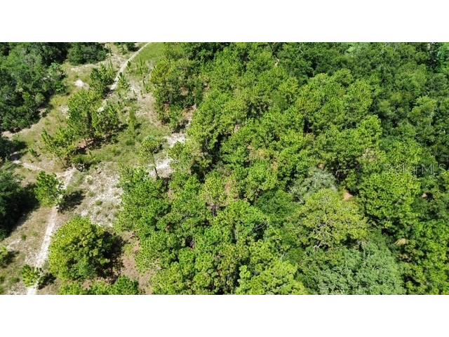 4026 N Orange Blossom Trail Mount Dora FL 32757 O6393994 image4