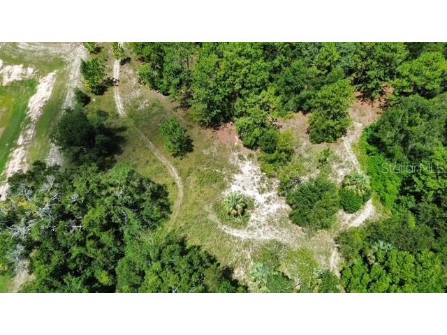4026 N Orange Blossom Trail Mount Dora FL 32757 O6393994 image5