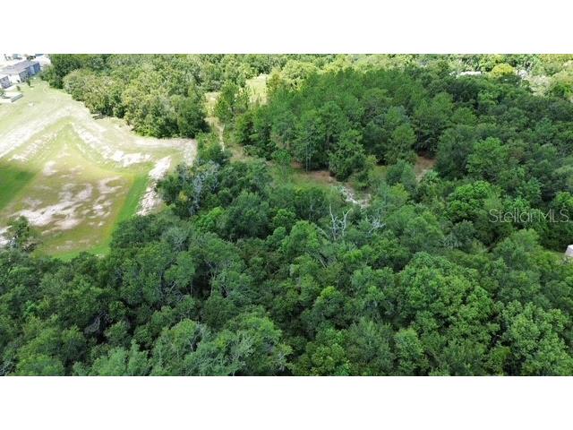4026 N Orange Blossom Trail Mount Dora FL 32757 O6393994 image7