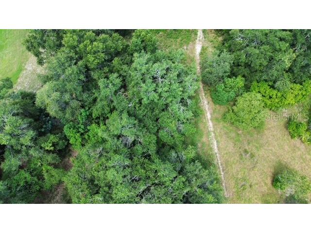 4026 N Orange Blossom Trail Mount Dora FL 32757 O6393994 image8