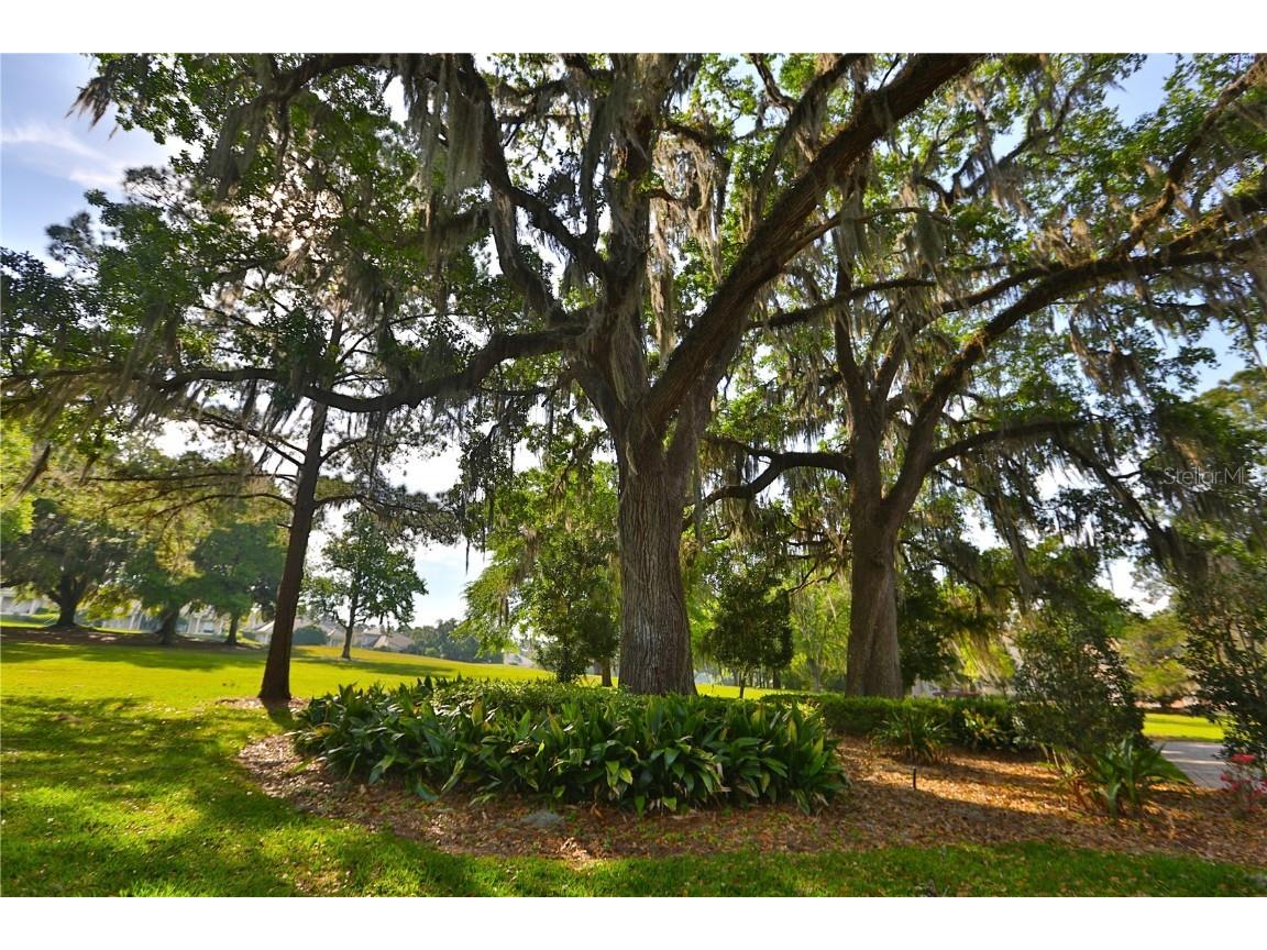 4026 NW 85th Terrace Ocala FL 34482 OM702736 image52