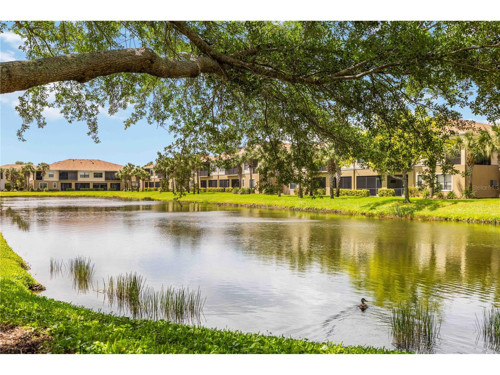 4026 Overture Circle #4026 Bradenton FL 34209 A4689640 image46