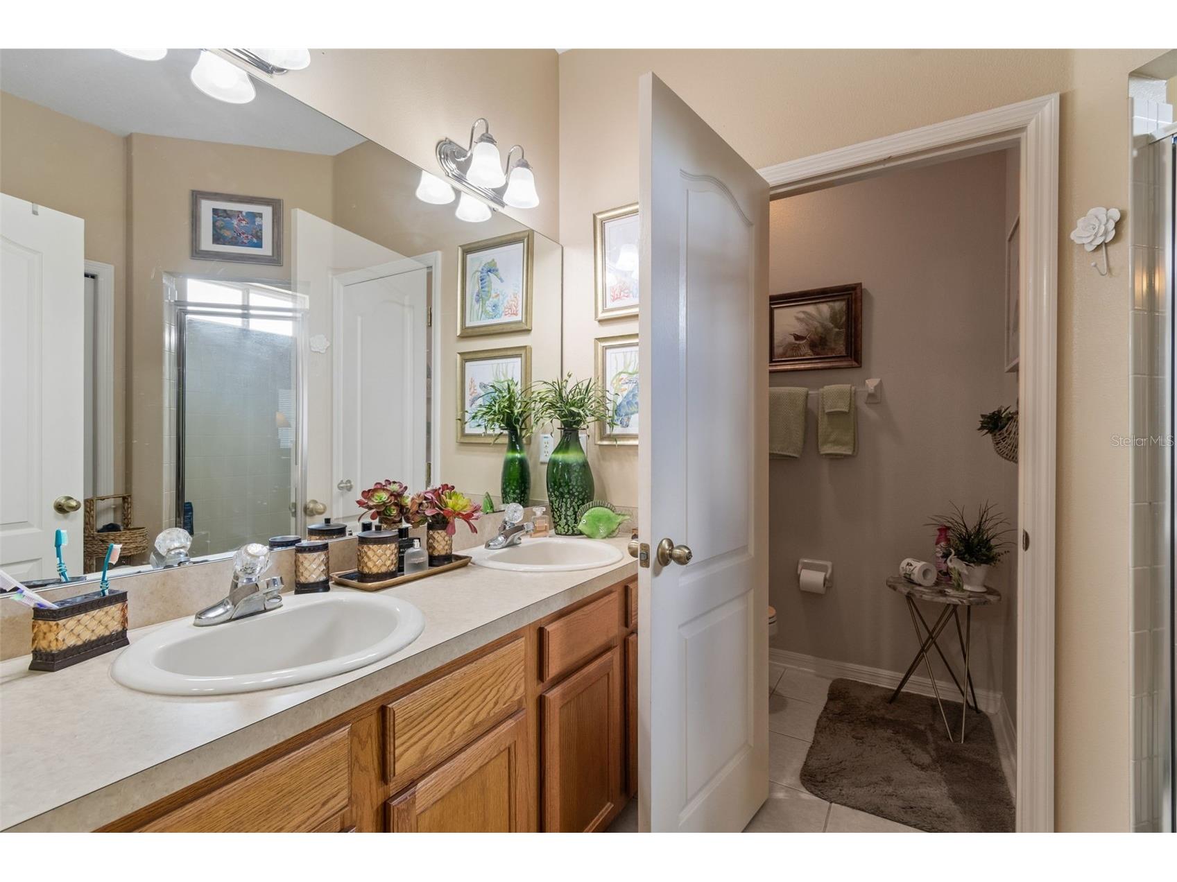 4027 Langdrum Drive Wesley Chapel FL 33543 TB8502125 image17