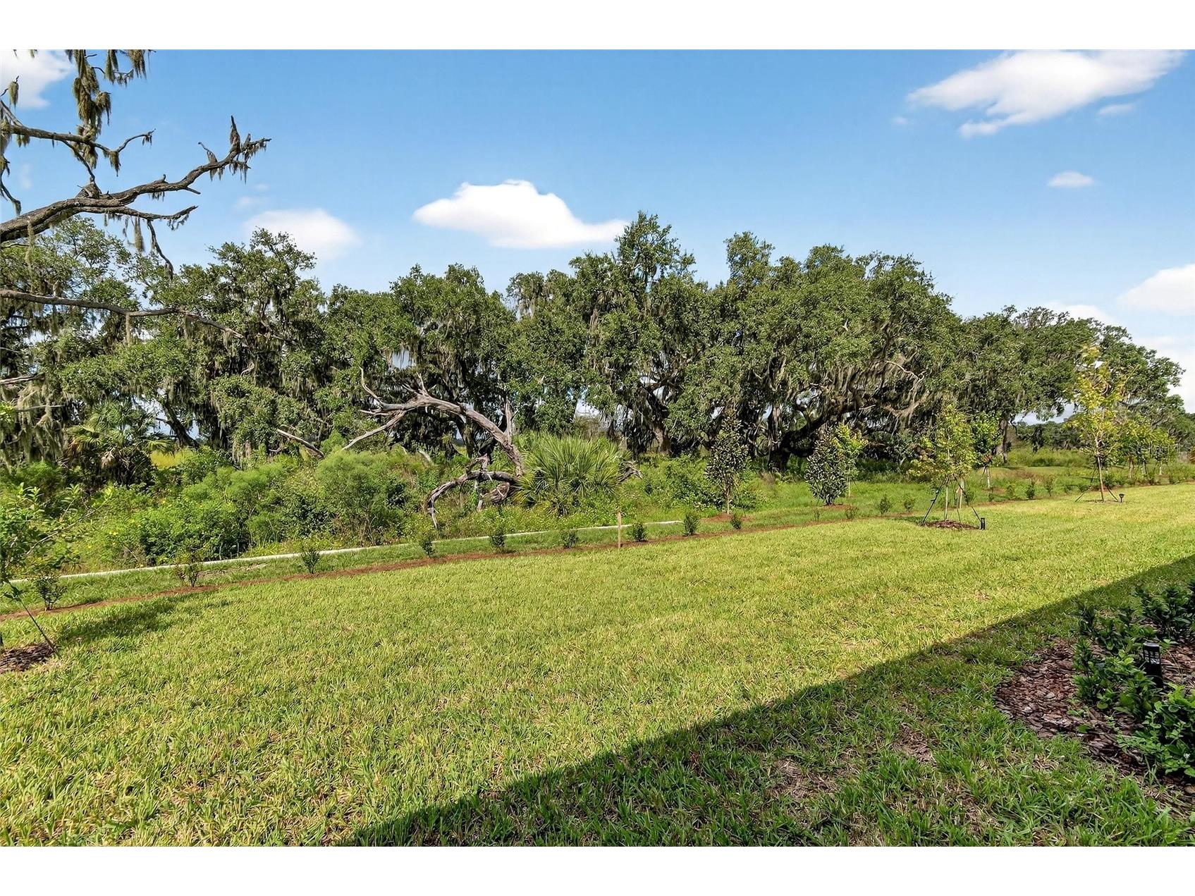 4027 Westwood Fields Loop Plant City FL 33565 TB8462393 image58