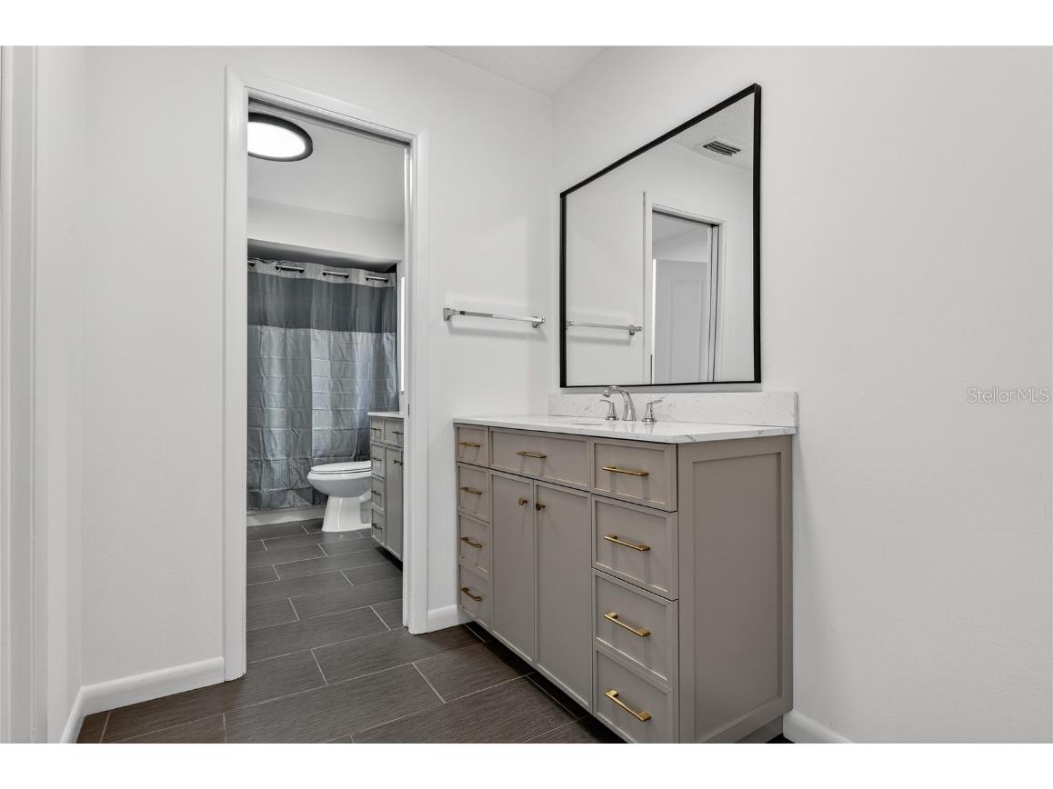 4028 Bell Grande Drive Valrico FL 33596 TB8446785 image19