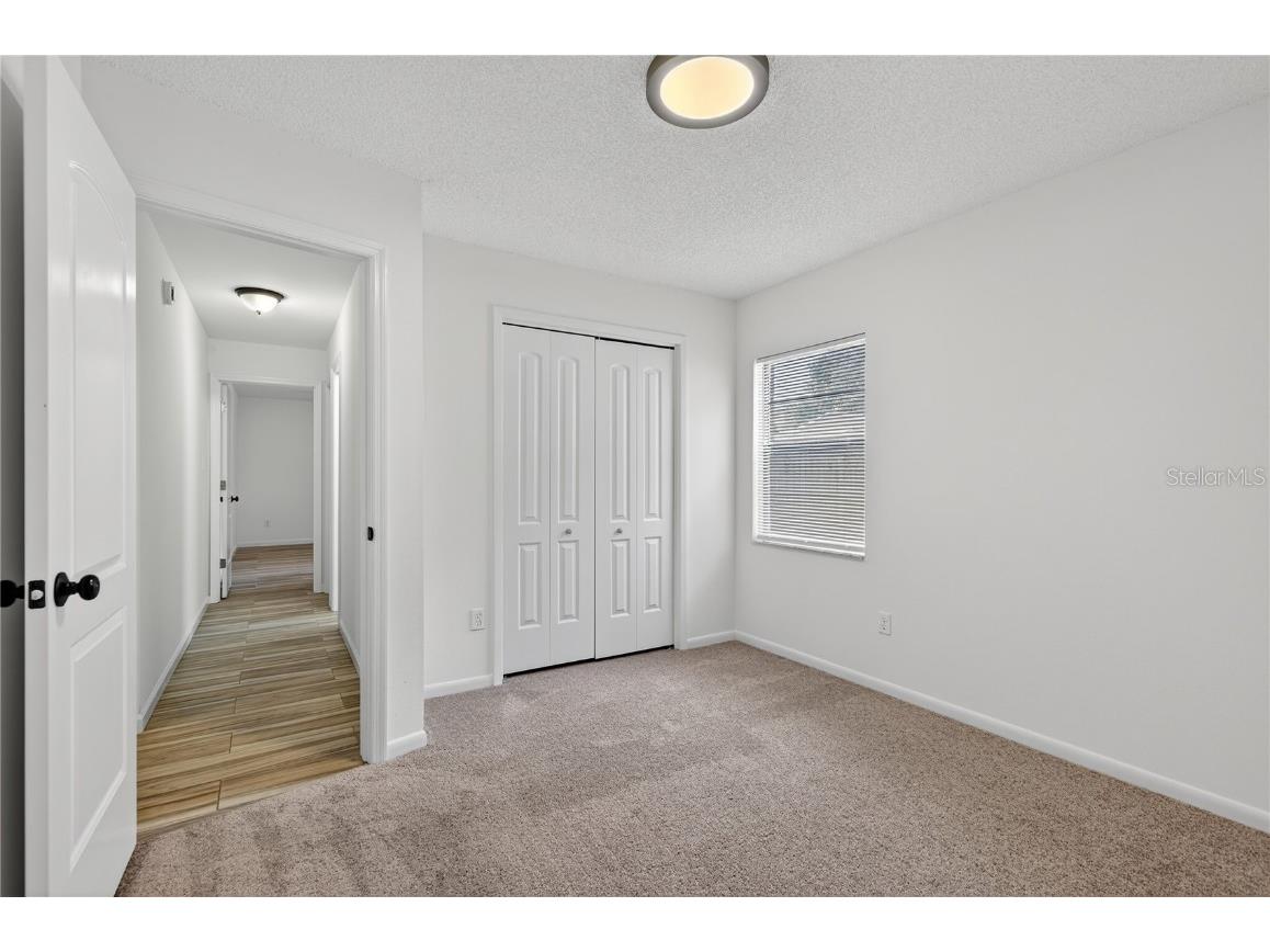 4028 Bell Grande Drive Valrico FL 33596 TB8446785 image26