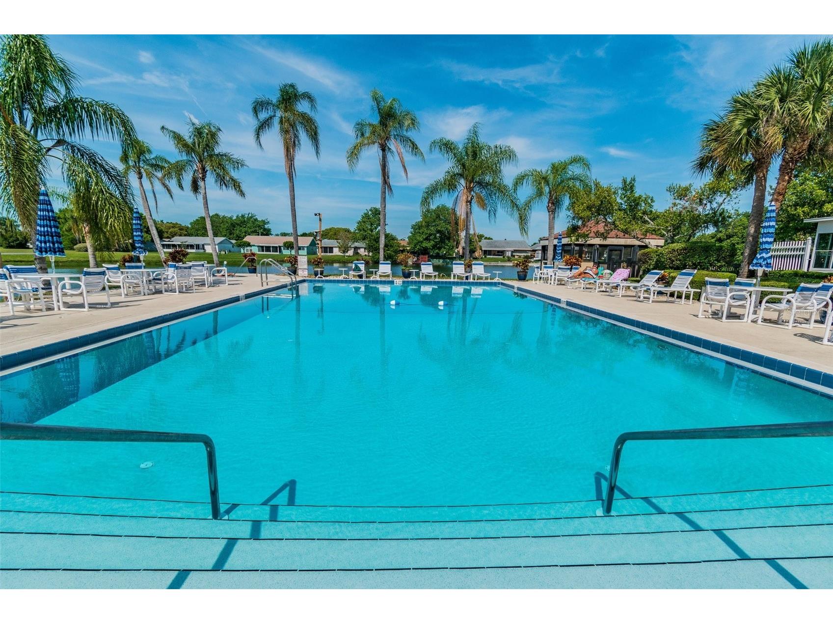 4028 Davit Drive #4028 New Port Richey FL 34652 TB8470362 image23