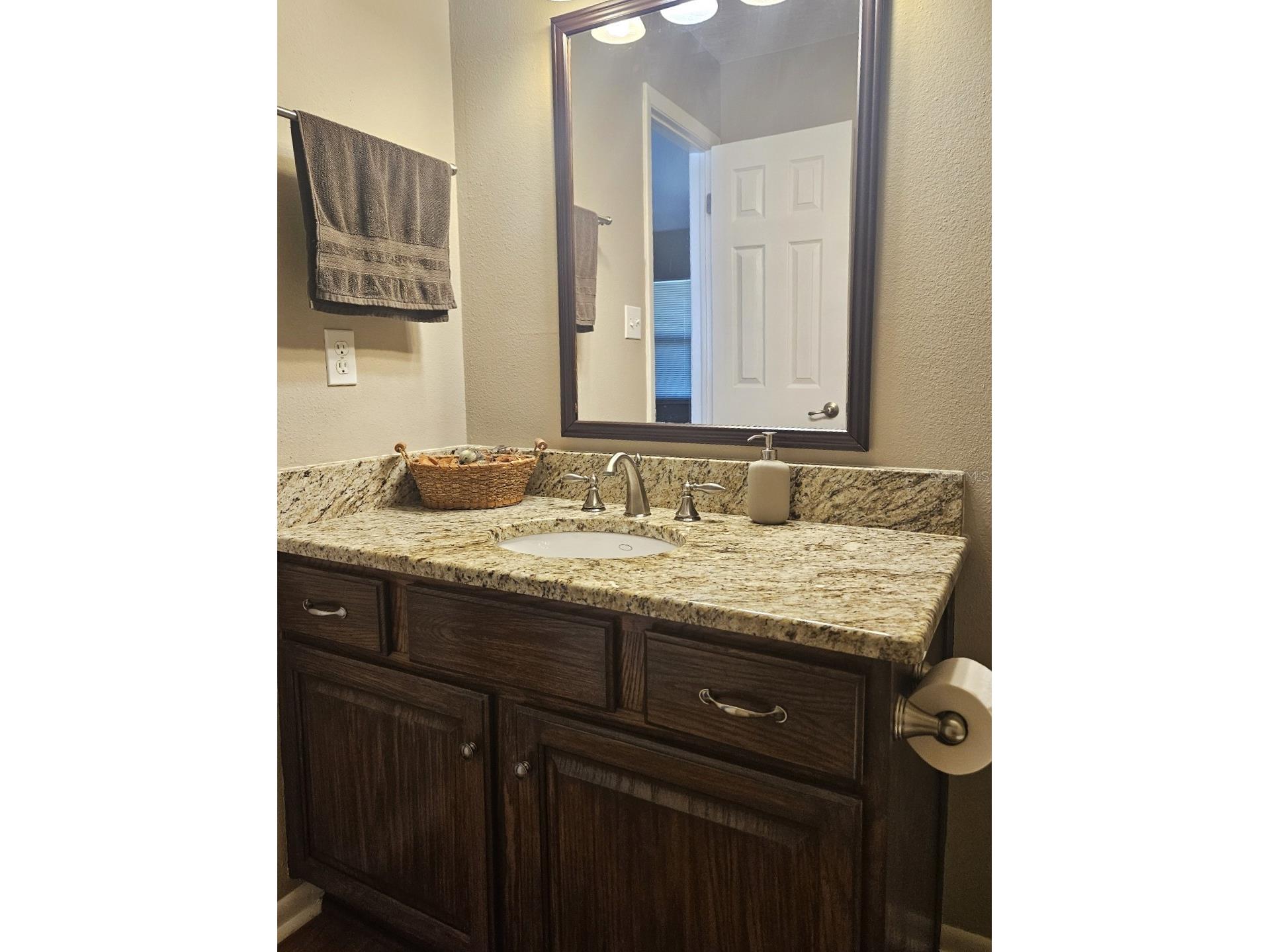4029 Bell Grande Drive Valrico FL 33596 TB8505154 image19