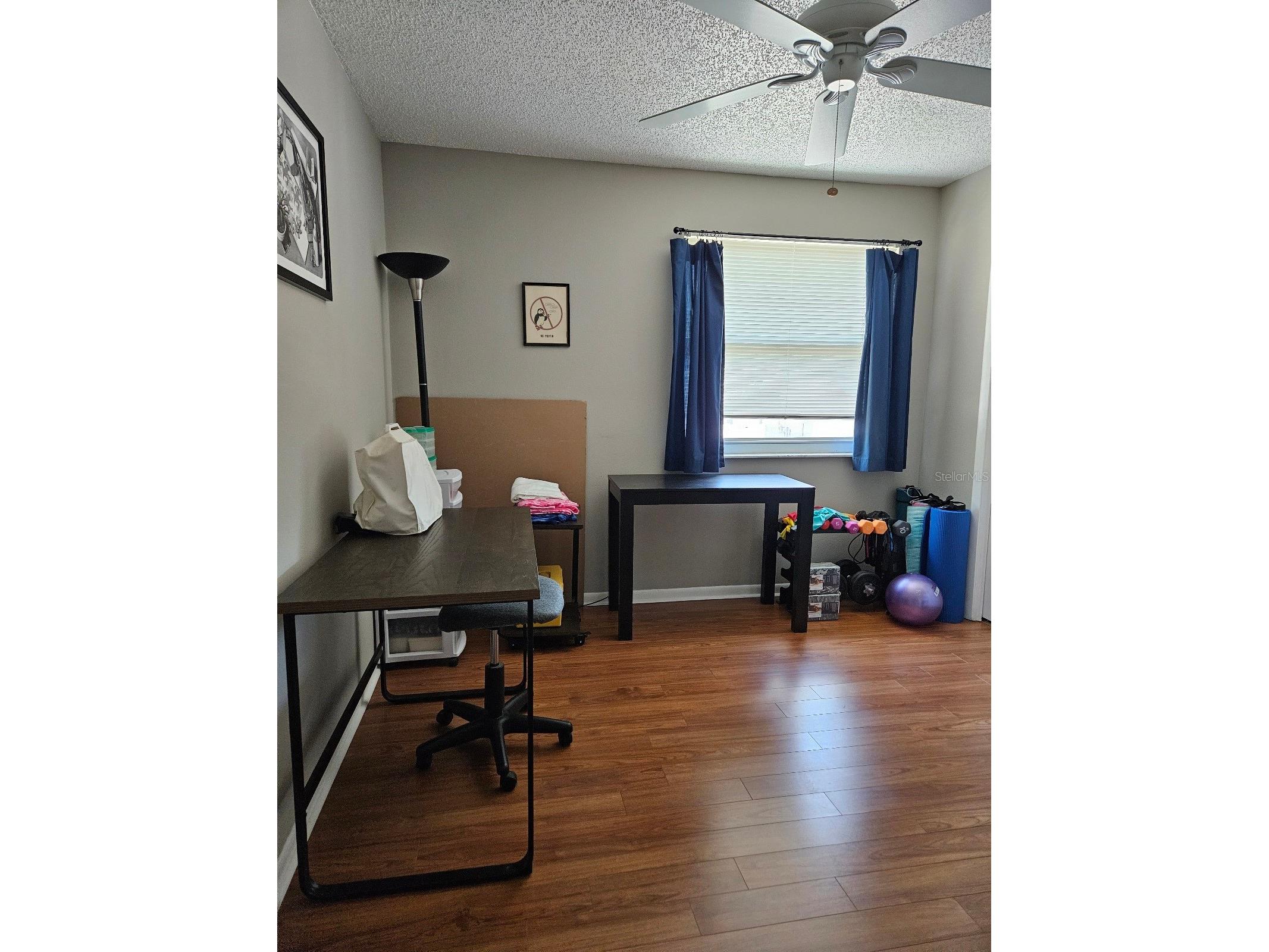 4029 Bell Grande Drive Valrico FL 33596 TB8505154 image22