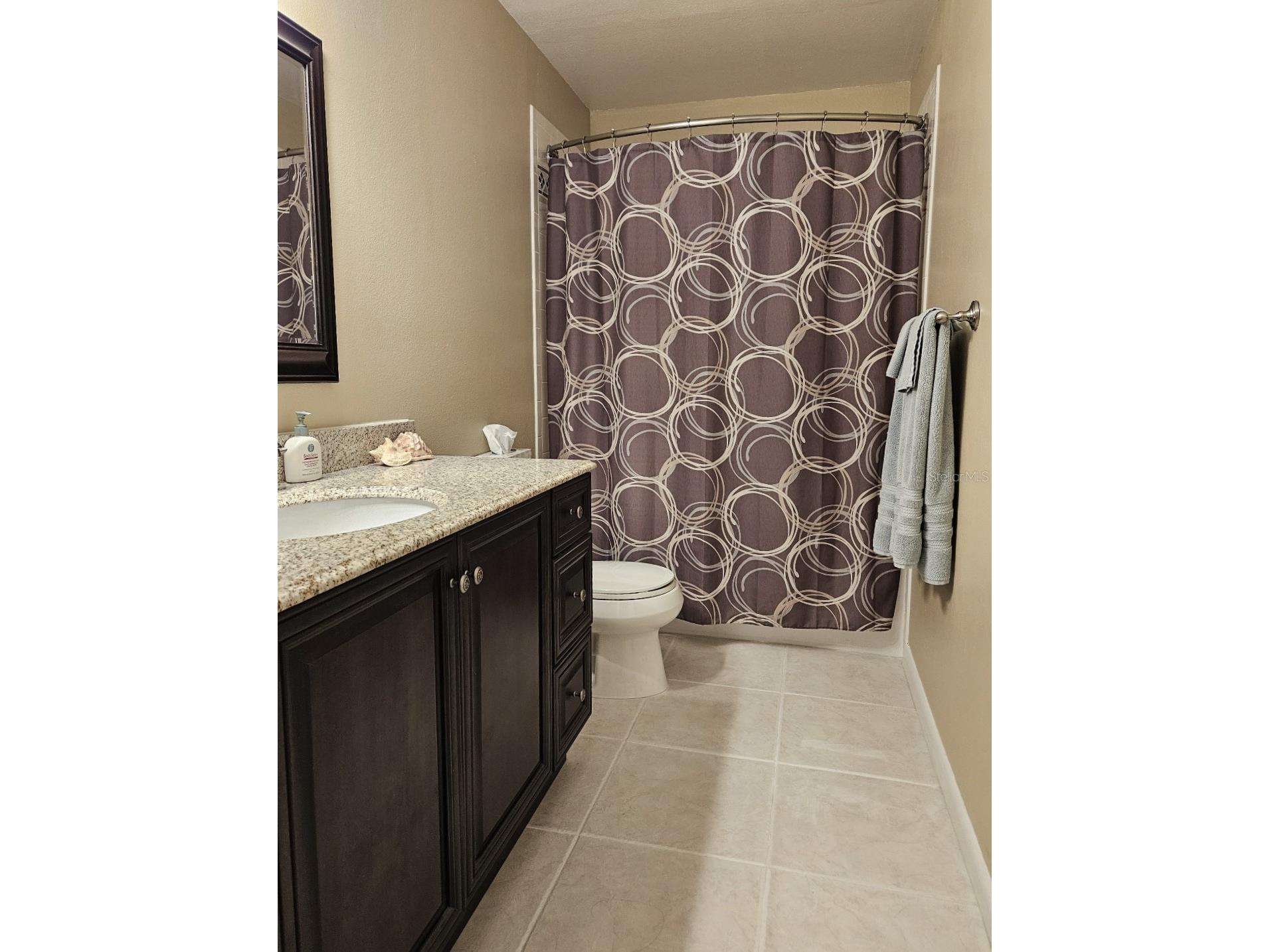 4029 Bell Grande Drive Valrico FL 33596 TB8505154 image24