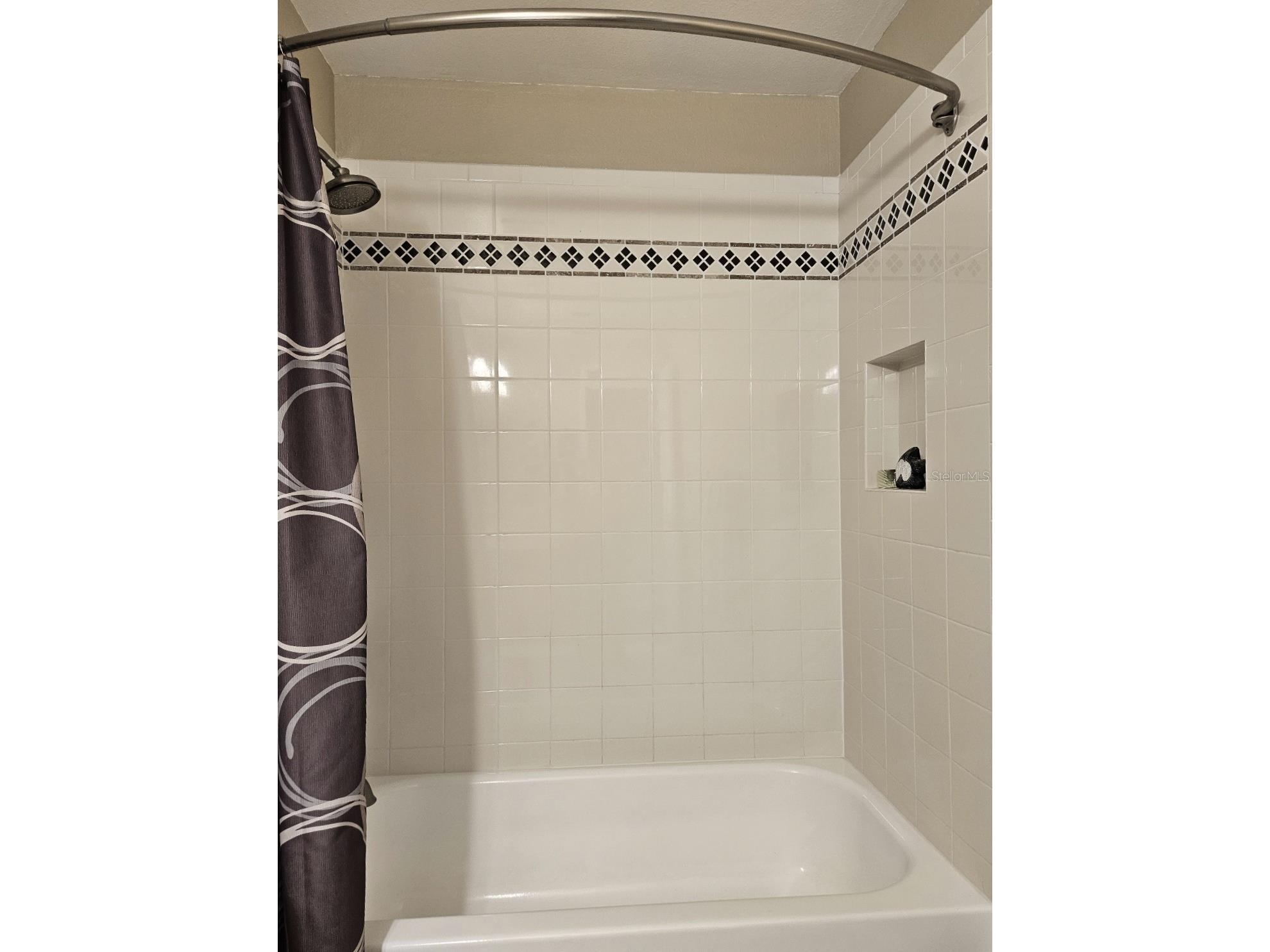 4029 Bell Grande Drive Valrico FL 33596 TB8505154 image25