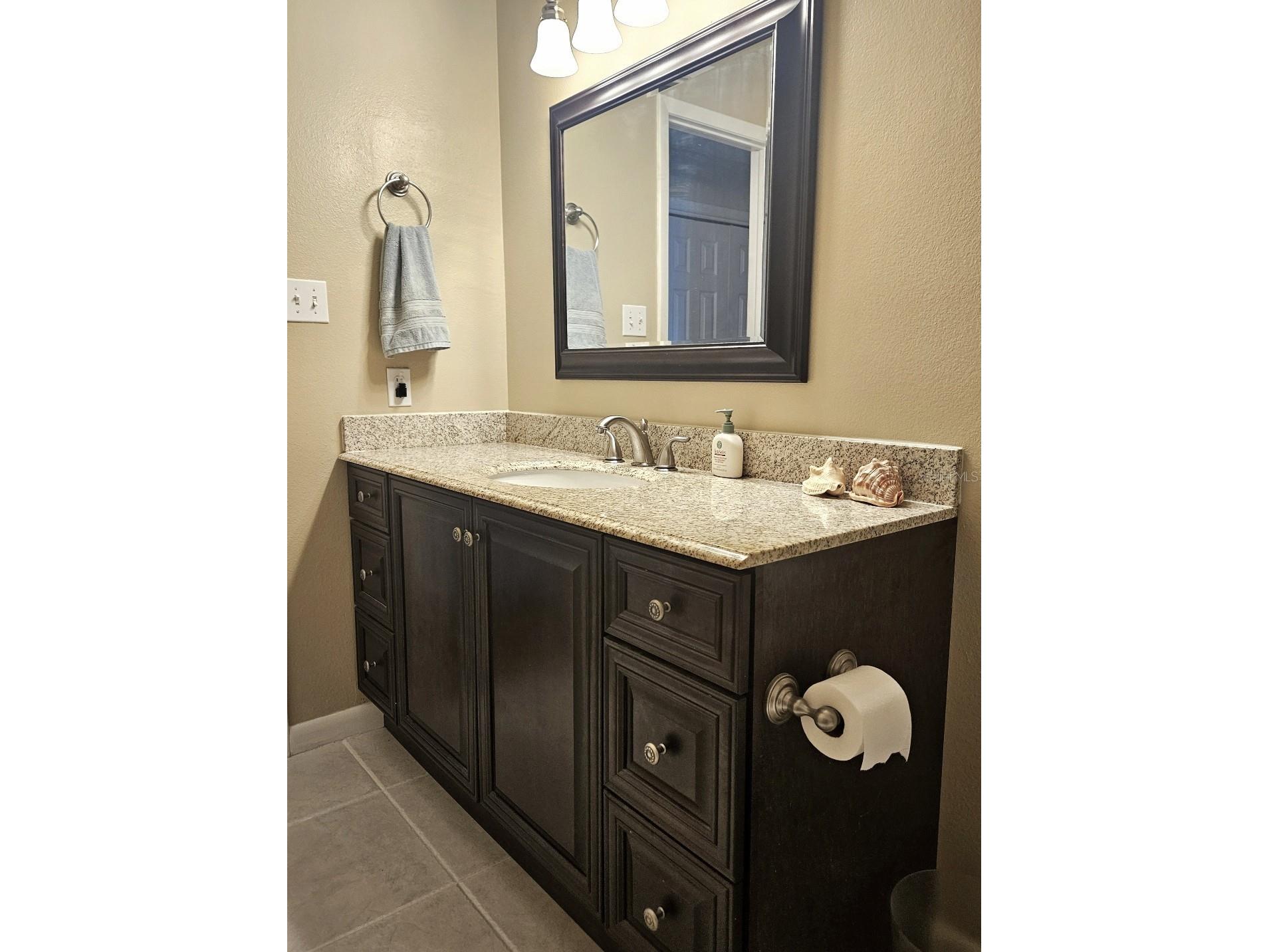 4029 Bell Grande Drive Valrico FL 33596 TB8505154 image26