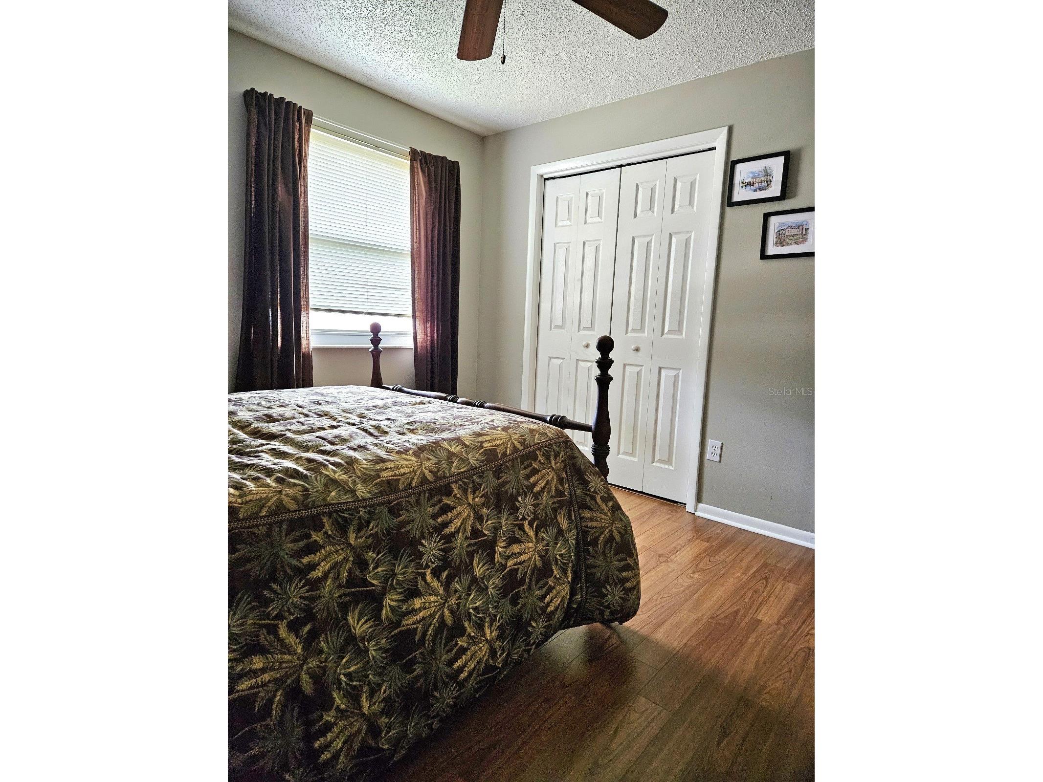 4029 Bell Grande Drive Valrico FL 33596 TB8505154 image28