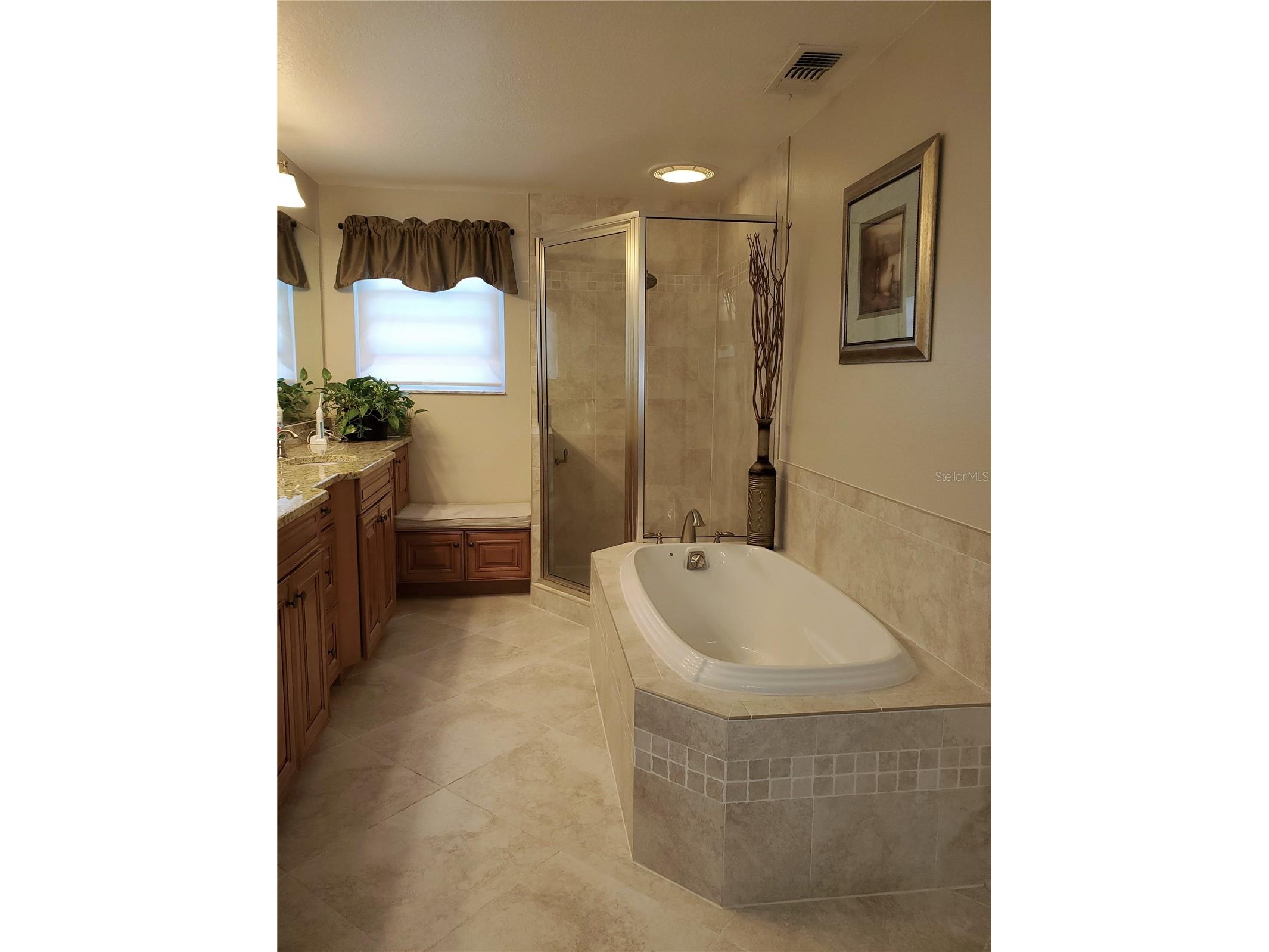 4029 Bell Grande Drive Valrico FL 33596 TB8505154 image33