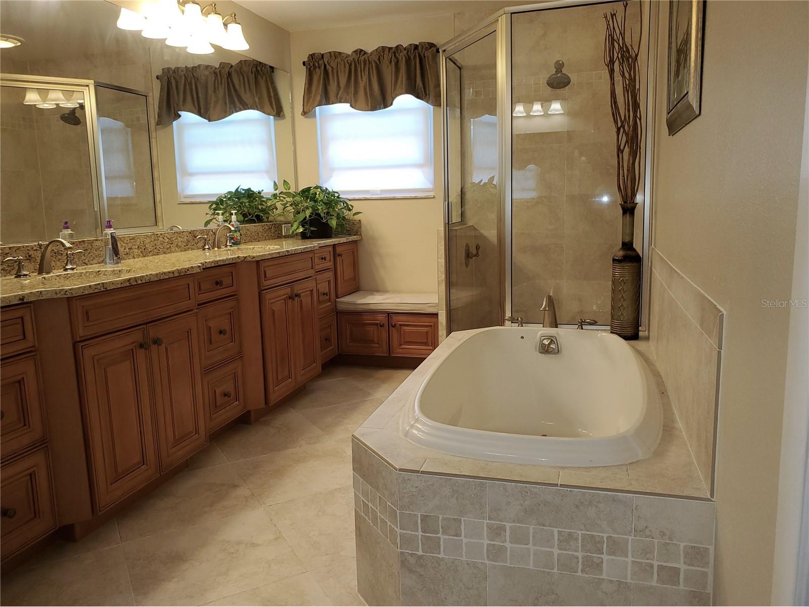 4029 Bell Grande Drive Valrico FL 33596 TB8505154 image34