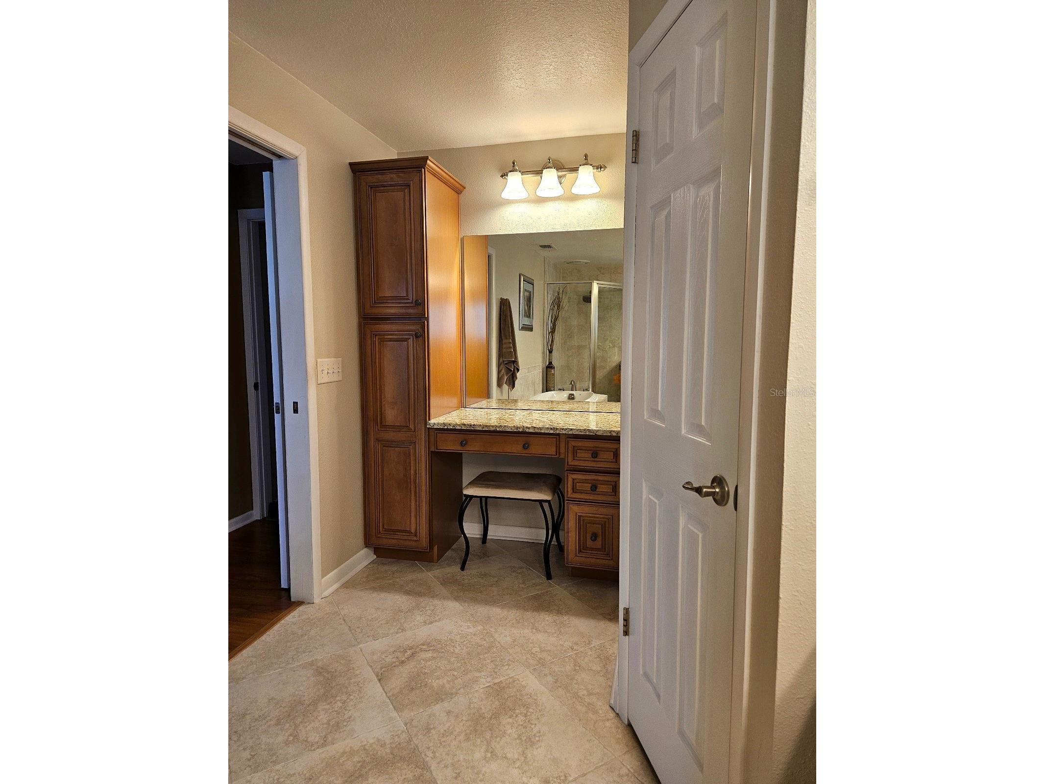 4029 Bell Grande Drive Valrico FL 33596 TB8505154 image35