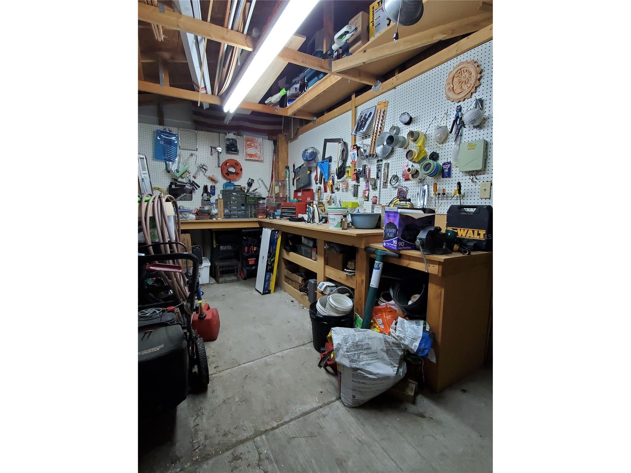 4029 Bell Grande Drive Valrico FL 33596 TB8505154 image37