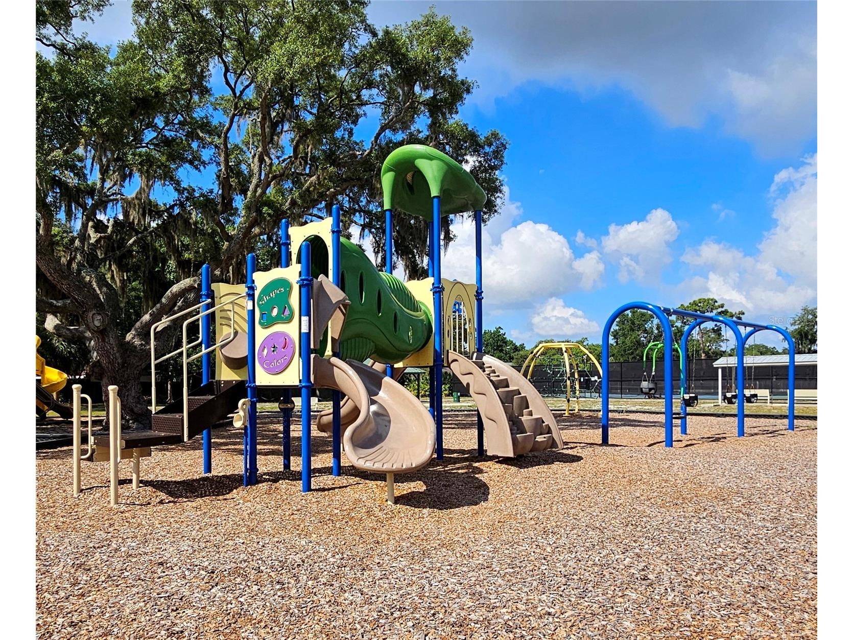 4029 Bell Grande Drive Valrico FL 33596 TB8505154 image43