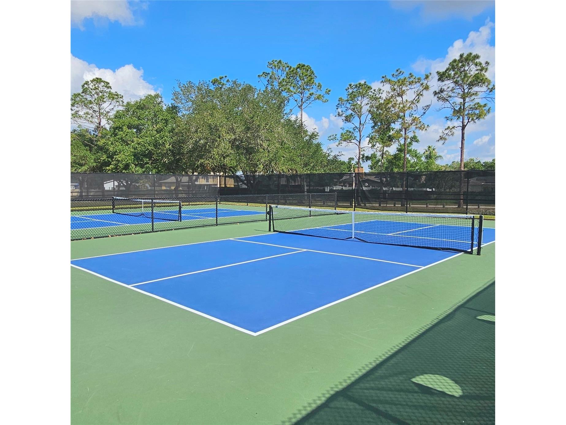 4029 Bell Grande Drive Valrico FL 33596 TB8505154 image44