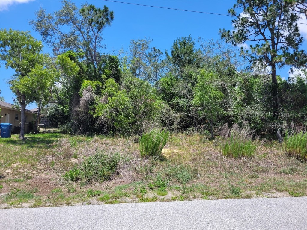 4029 Chadwick Avenue Spring Hill FL 34609 W7855616 image1