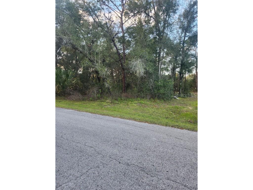 4029 E Walker Street Inverness FL 34453 U8225864 image1