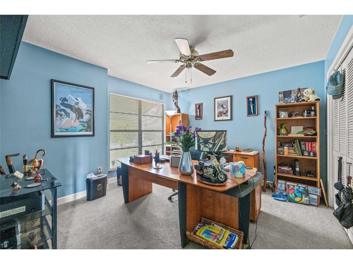 4029 Starfish Lane Tampa FL 33615 TB8448085 image33