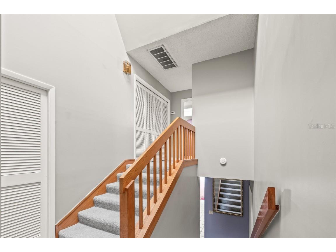 4029 Starfish Lane Tampa FL 33615 TB8448085 image37