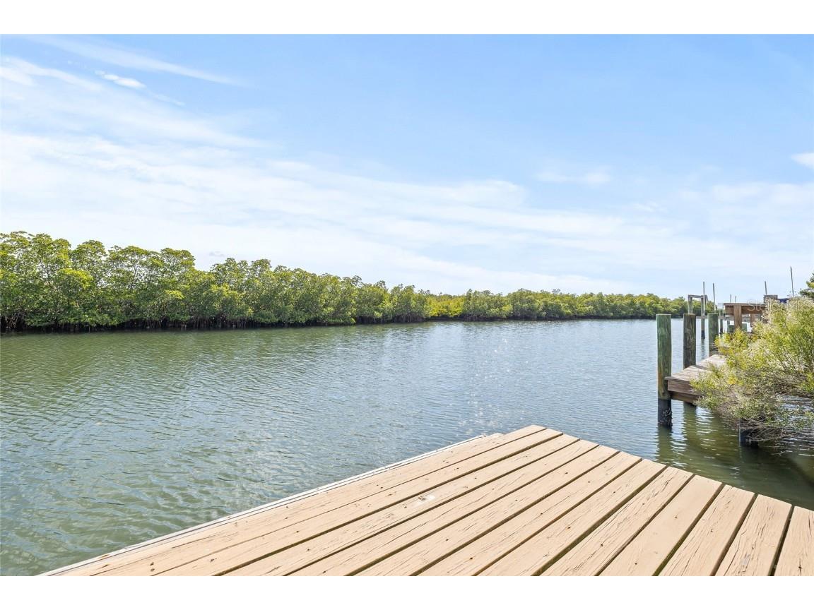 4029 Starfish Lane Tampa FL 33615 TB8448085 image49