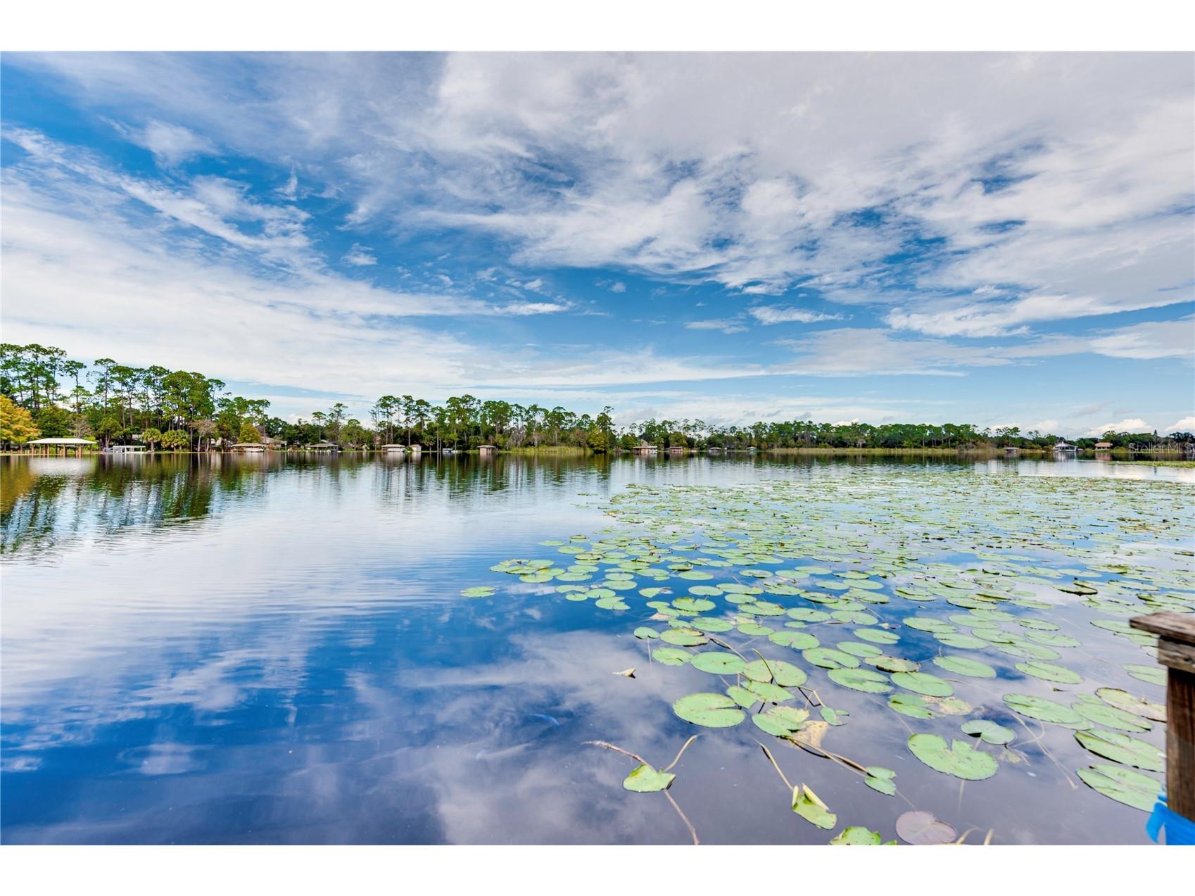 4029 Tamarisk Way Orlando FL 32817 - LAKE PEARL O6409365 image2
