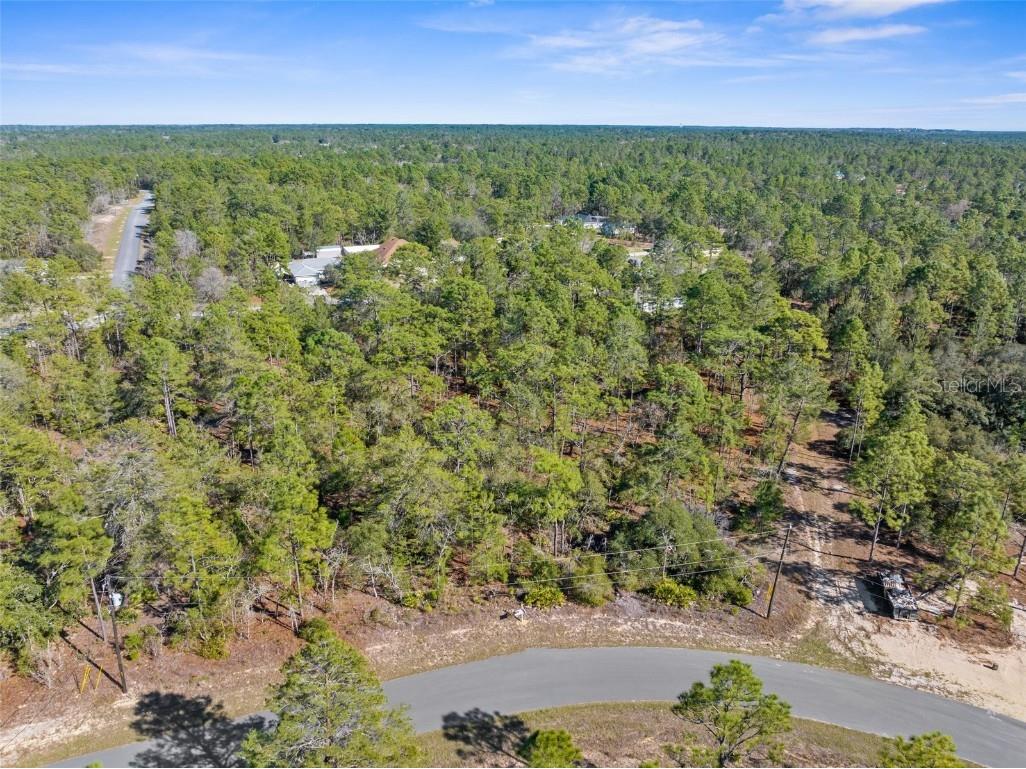 4029 W Abeline Drive Citrus Springs FL 34433 W7872995 image1