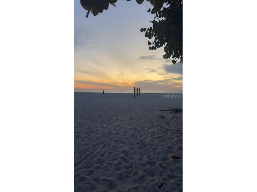 403 63rd Street Holmes Beach FL 34217 A4687024 image72