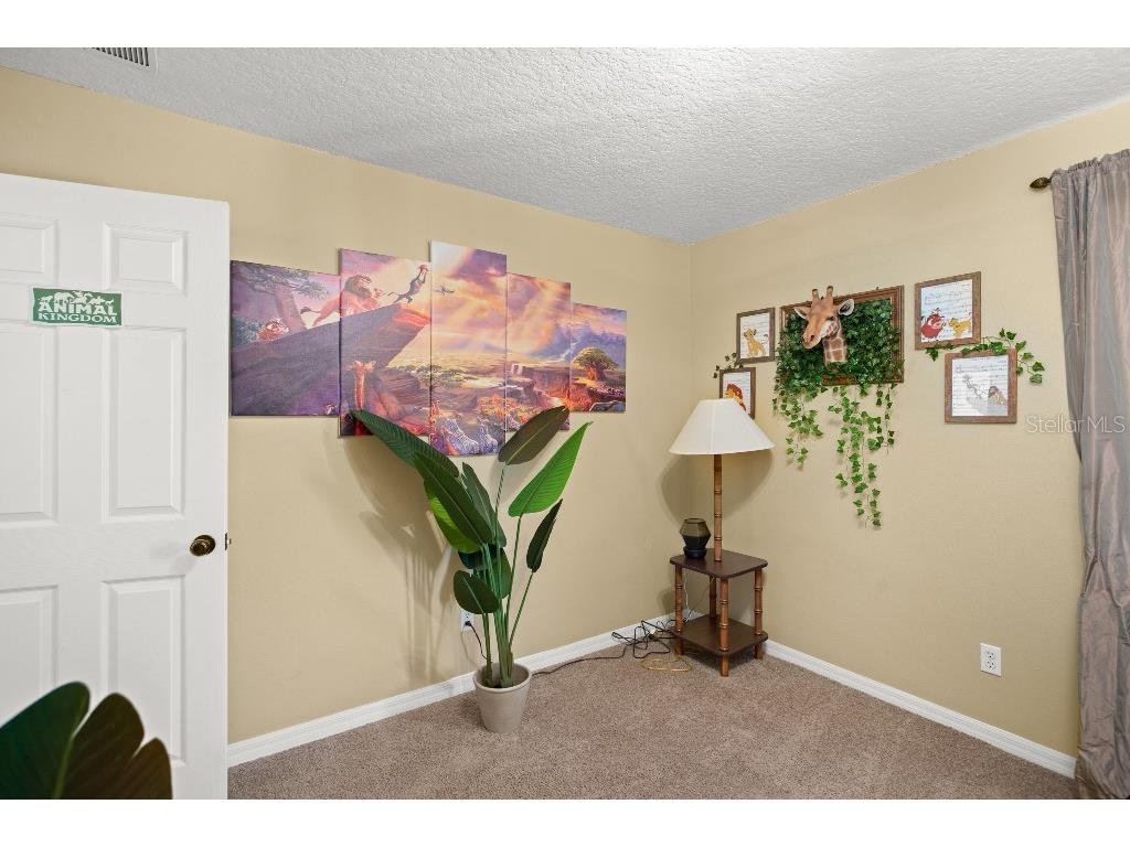 403 Corvina Drive Davenport FL 33897 TB8523948 image45