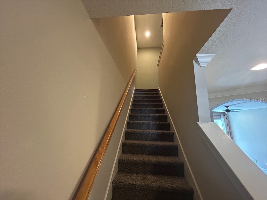 403 E Tuscan Lane E Oldsmar FL 34677 TB8376561 image14