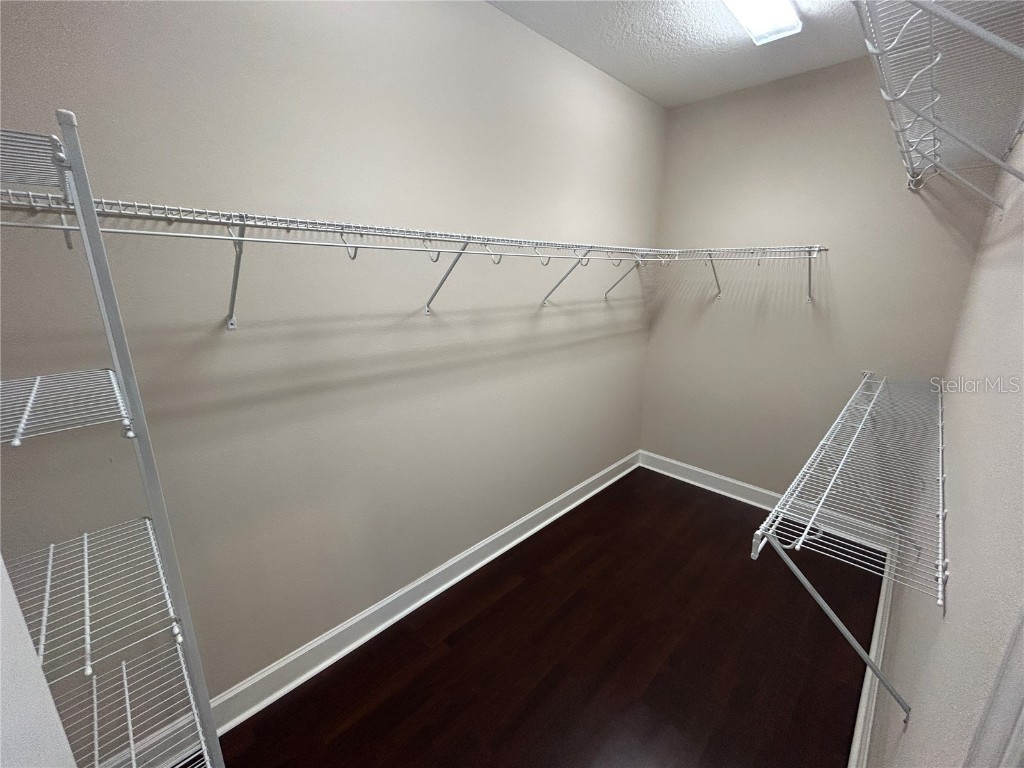 403 E Tuscan Lane E Oldsmar FL 34677 TB8376561 image19