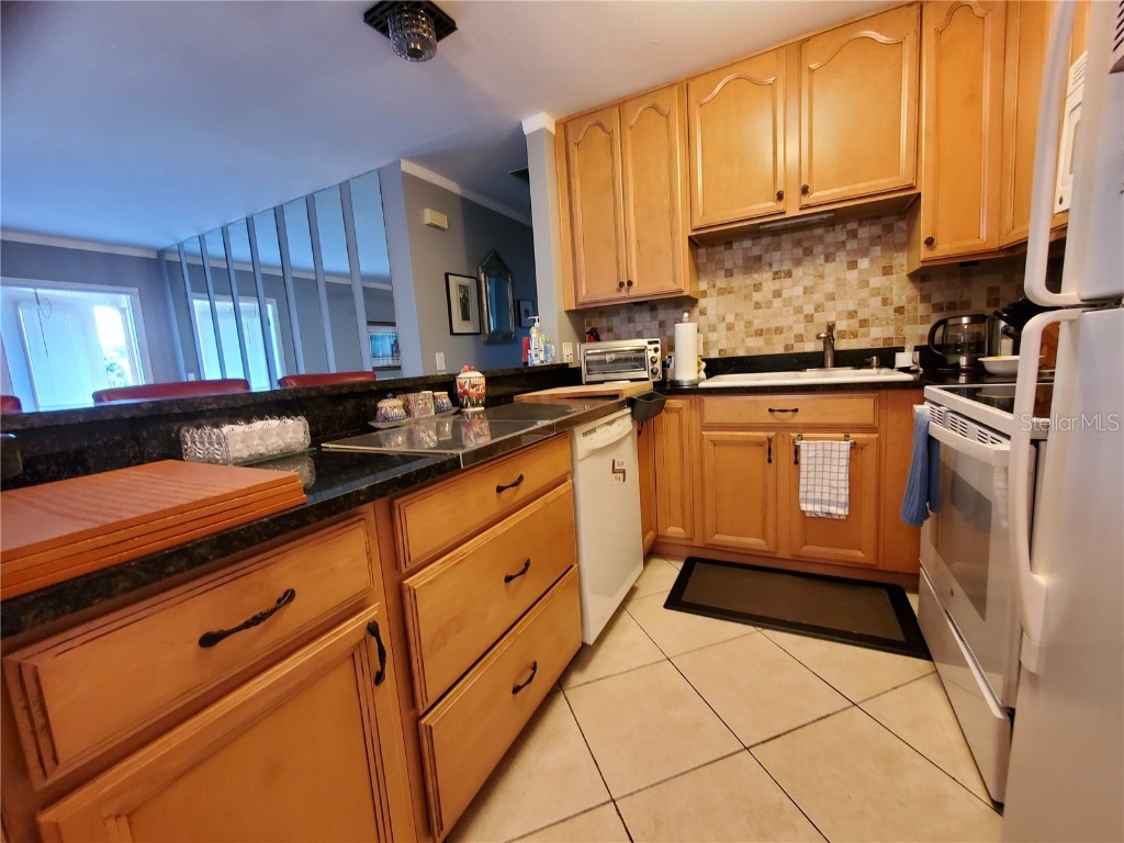 403 Finchley Court #B Sun City Center FL 33573 TB8383410 image10