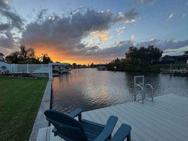 403 Flamingo Drive Apollo Beach FL 33572 TB8505656 image5