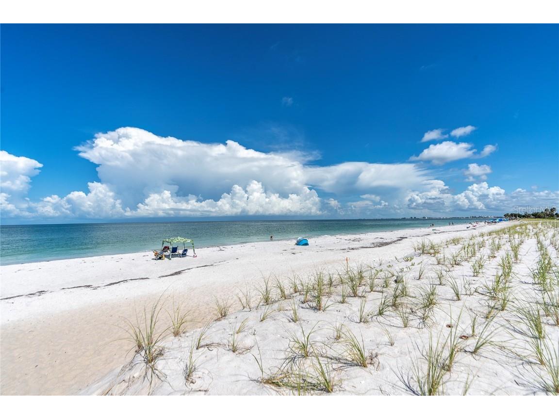 403 Gulf Way #302 Saint Pete Beach FL 33706 - GULF OF MEXICO U8251457 image19
