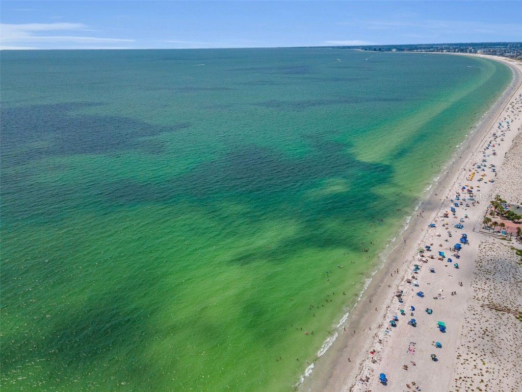 403 Gulf Way #403 Saint Pete Beach FL 33706 TB8414470 image58