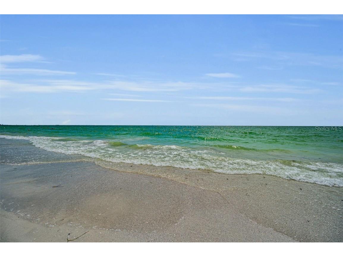 403 Gulf Way #403 Saint Pete Beach FL 33706 TB8414470 image59