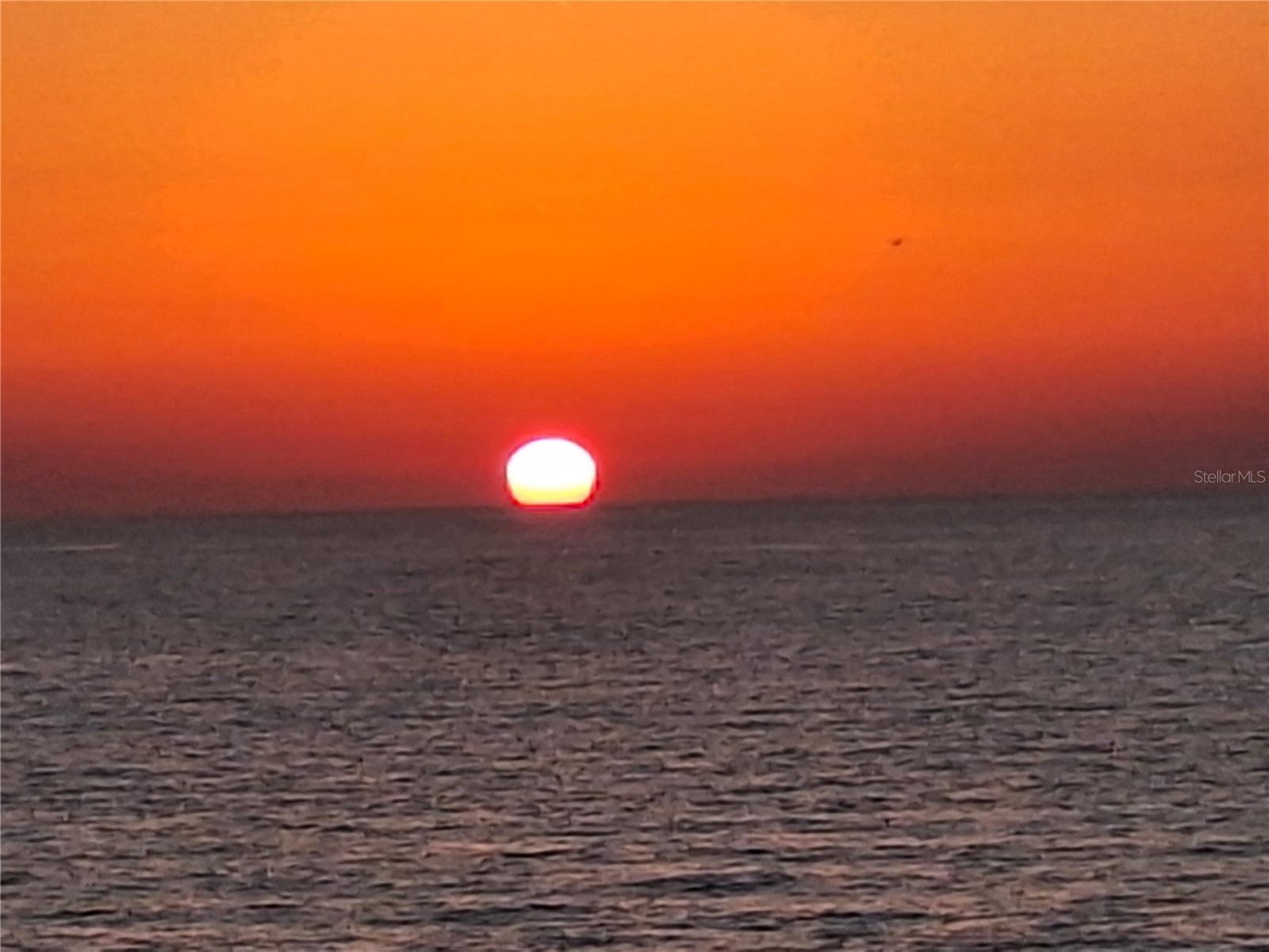 403 Gulf Way #504 Saint Pete Beach FL 33706 - GULF OF MEXICO BOCA CIEGA BAY U8232277 image1