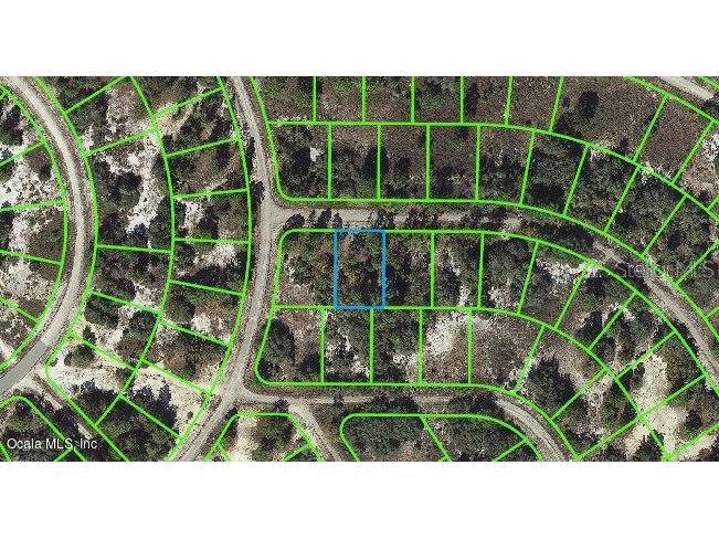 403 Hollow Lane Lake Placid FL 33852 OM542116 image1