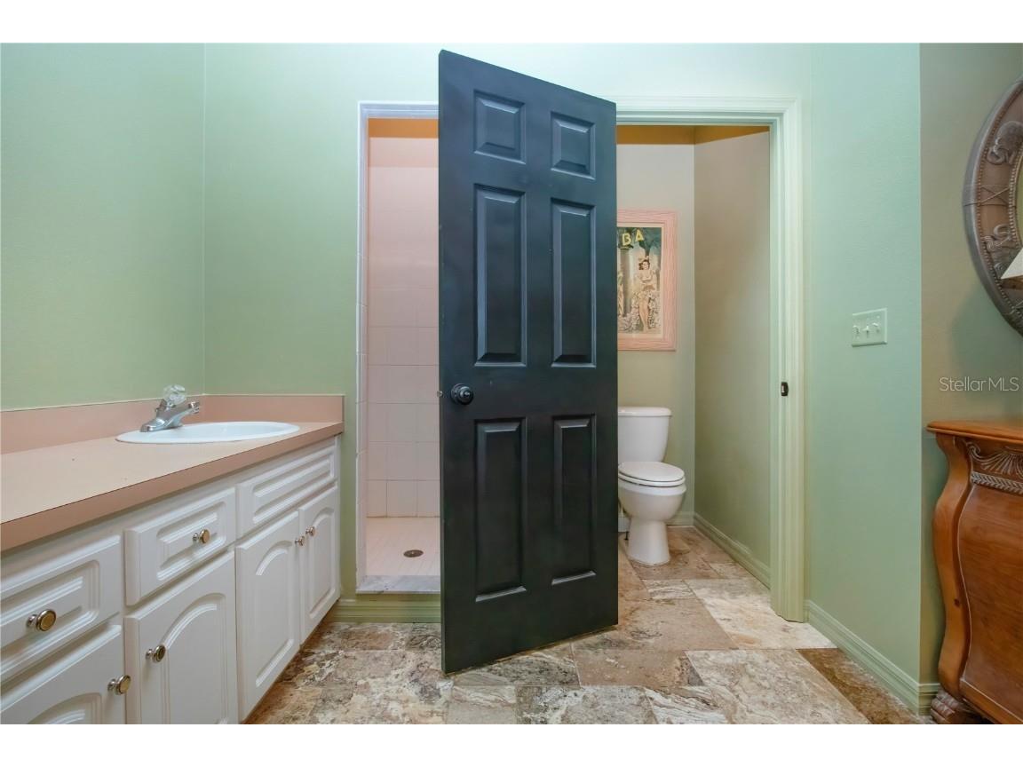 403 Indian Meadow Court Wimauma FL 33598 TB8452604 image47