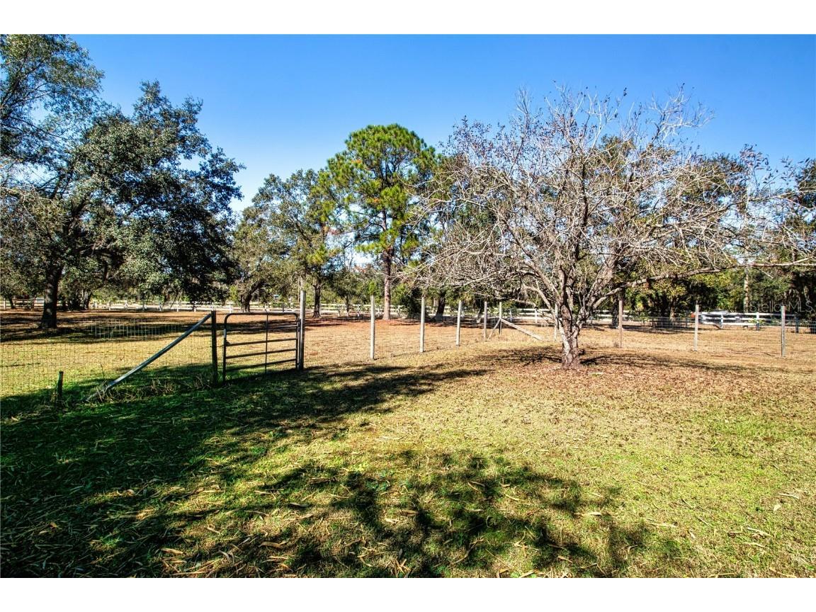 403 Indian Meadow Court Wimauma FL 33598 TB8452604 image69