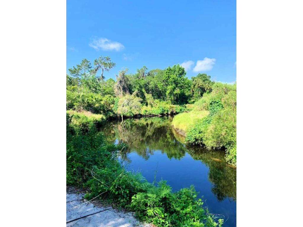 403 Indian Meadow Court Wimauma FL 33598 TB8452604 image73